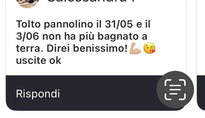 Recensione di una mamma sullo spannolinamento
